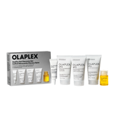 THE HEALTHY HAIR DISCOVERY SET