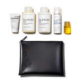 THE HEALTHY HAIR TRAVEL SET
